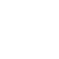 Vandana Mehrotra logo